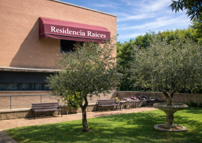 Jardín con fuente y olivo